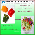 Extra bell pepper cutting machinery / Sweet pepper cutter / Vegetable cutting machine